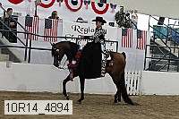 10r14_4894 proof