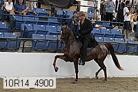 10r14_4900 proof