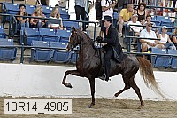 10r14_4905 proof