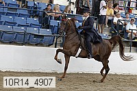 10r14_4907 proof