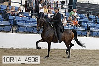 10r14_4908 proof