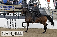 10r14_4909 proof