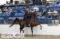 10r14_4912 proof