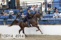 10r14_4914 proof