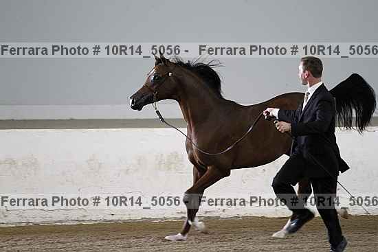 Proof 10r14_5056