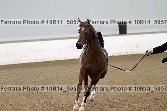 Proof 10r14_5057