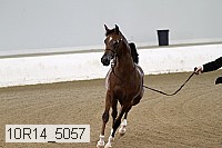 10r14_5057 proof