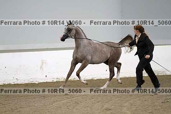Proof 10r14_5060