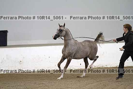 Proof 10r14_5061