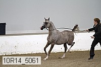 10r14_5061 proof