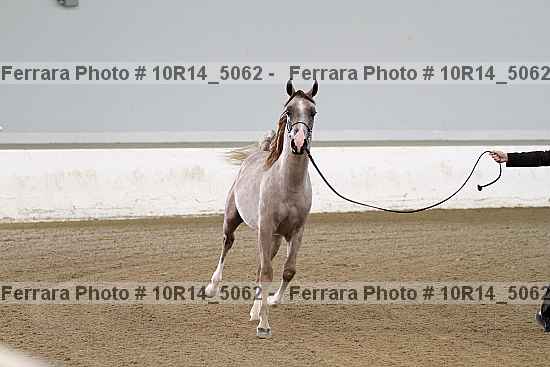 Proof 10r14_5062