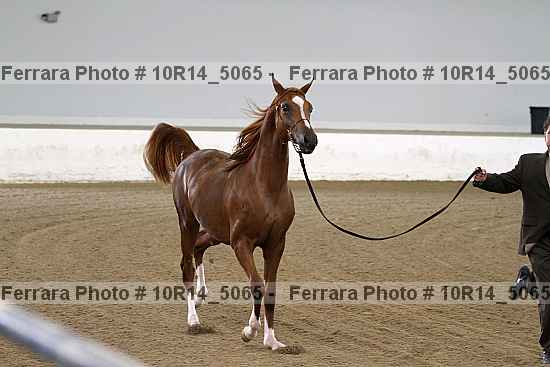 Proof 10r14_5065