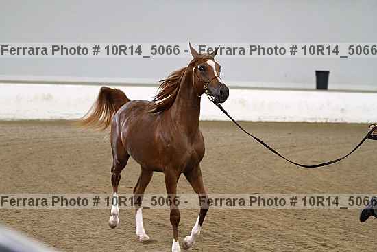 Proof 10r14_5066