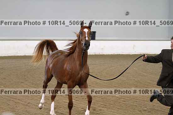 Proof 10r14_5069