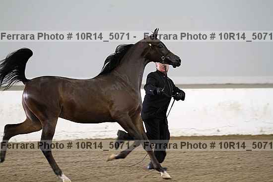 Proof 10r14_5071