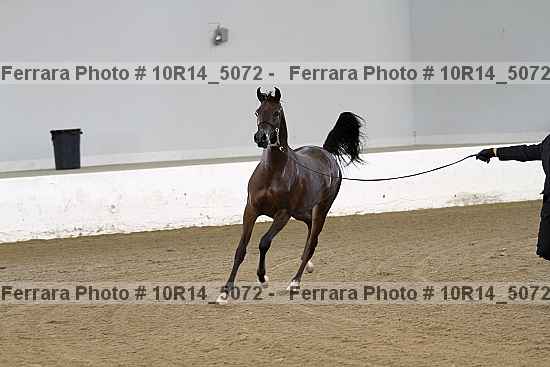 Proof 10r14_5072