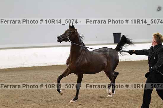 Proof 10r14_5074