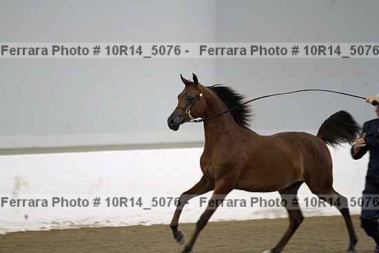 Proof 10r14_5076