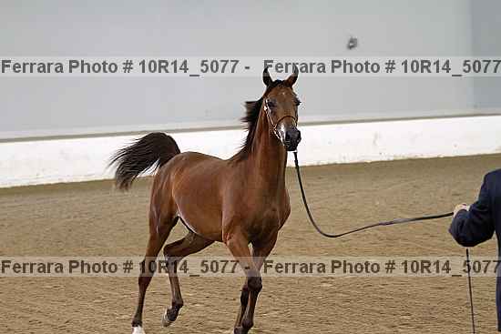 Proof 10r14_5077
