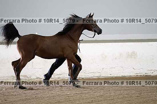 Proof 10r14_5079