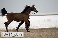 10r14_5079 proof