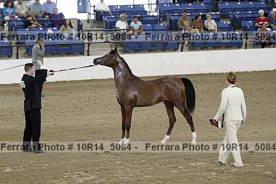 Proof 10r14_5084