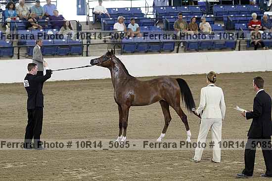 Proof 10r14_5085