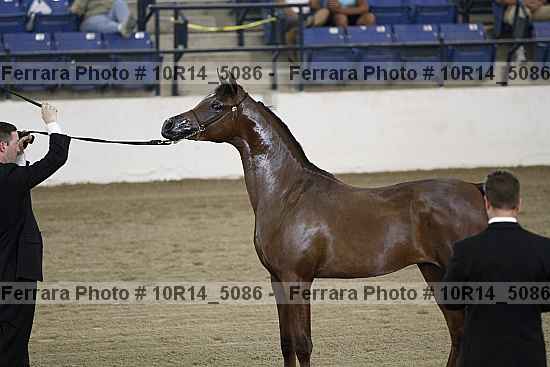 Proof 10r14_5086