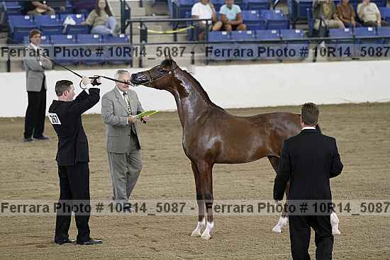 Proof 10r14_5087