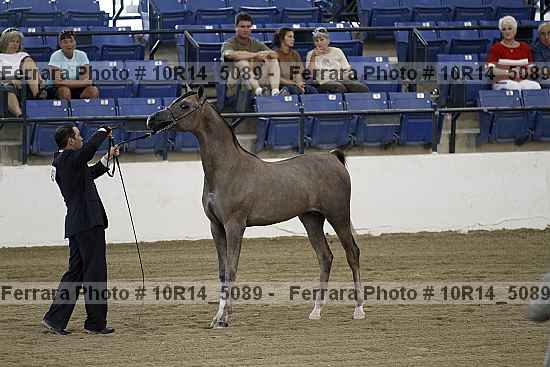 Proof 10r14_5089
