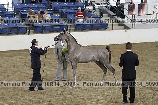 Proof 10r14_5090