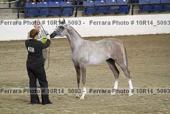 Proof 10r14_5093