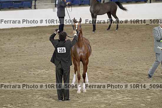 Proof 10r14_5094