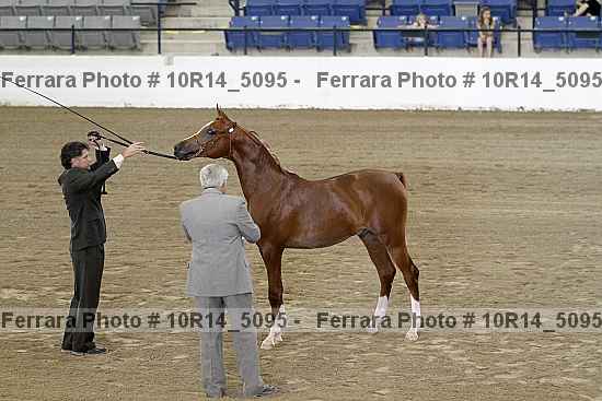 Proof 10r14_5095