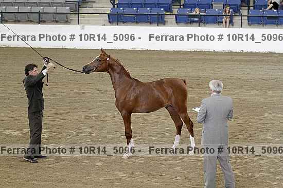Proof 10r14_5096
