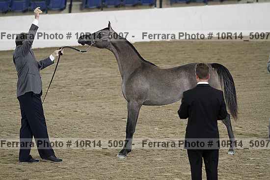Proof 10r14_5097