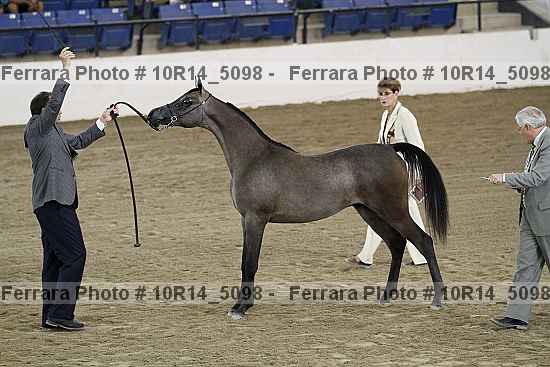 Proof 10r14_5098