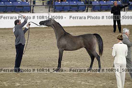 Proof 10r14_5099