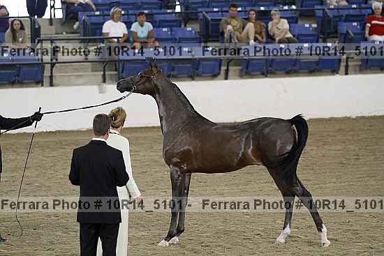 Proof 10r14_5101