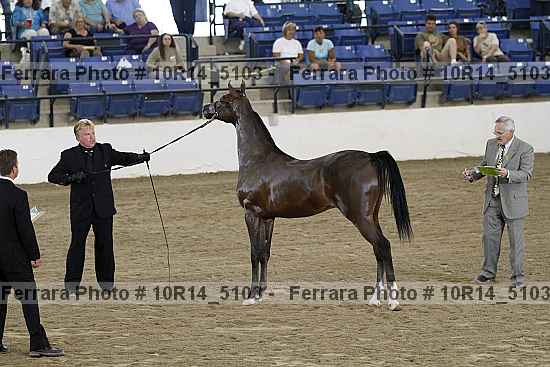 Proof 10r14_5103