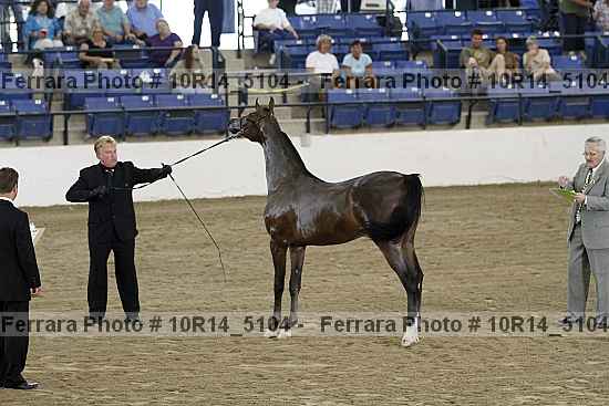 Proof 10r14_5104