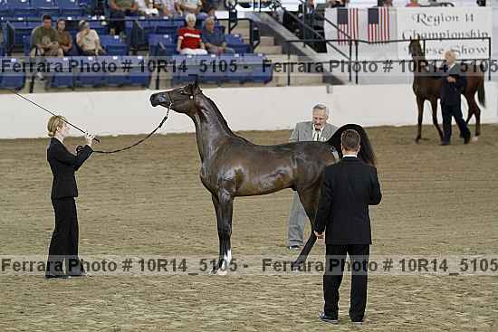 Proof 10r14_5105