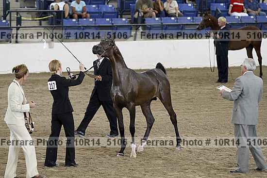 Proof 10r14_5106