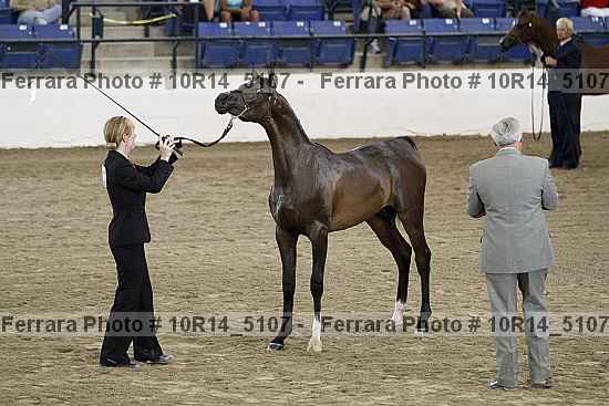 Proof 10r14_5107