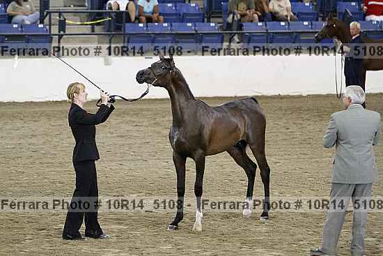 Proof 10r14_5108