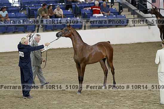 Proof 10r14_5109