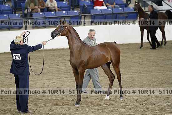 Proof 10r14_5110