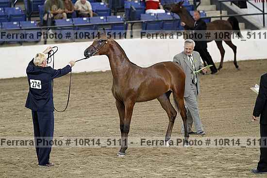 Proof 10r14_5111