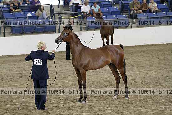 Proof 10r14_5112