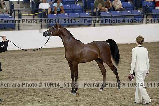 Proof 10r14_5113